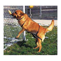 Jump Restraint Dog Harness Scott Pet